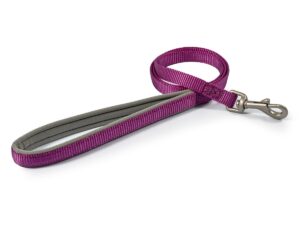AN135980 VIVA PADDED NYLON LEAD PURPLE 19MMX1M
