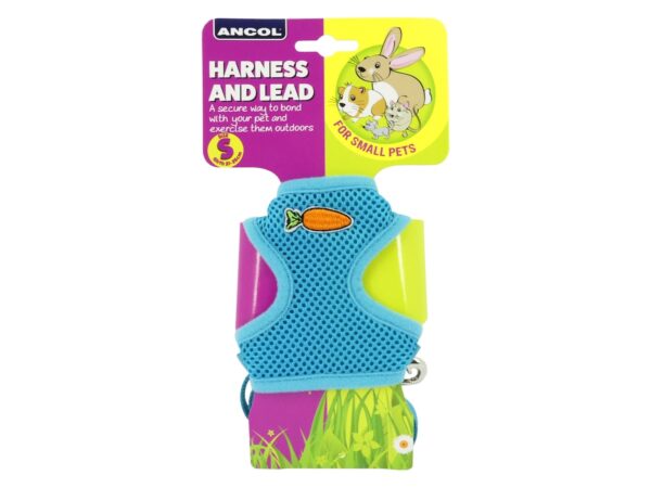AN163530 SMALL ANIMAL MESH HARNESS&LEAD SML|MED|LRG TEAL