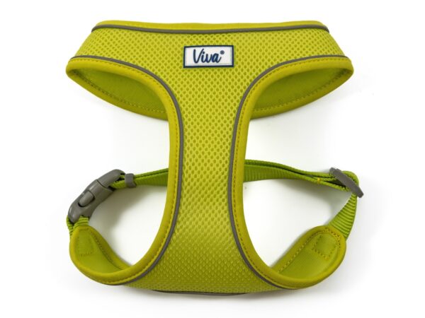 AN185060 Ancol Viva Comfort Dog Harness – Lime