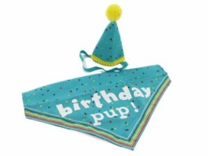 CREATOR: gd-jpeg v1.0 (using IJG JPEG v62), quality = 100 ANCOL PAWTY TIME BIRTHDAY HAT & BANDANA BLUE