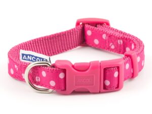 AN699050 RASPBERRY/PINK POLKA DOT ADJ COLLAR S1-2 S2-5