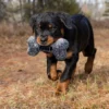 KONG MAXX BONE