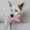KONG SNUZZLES KIDDOS BUNNY