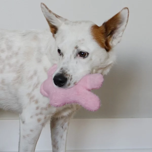 KONG SNUZZLES KIDDOS BUNNY