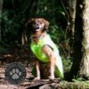 211x211-980378-3 STORMGUARD DOG COAT HI-VIS