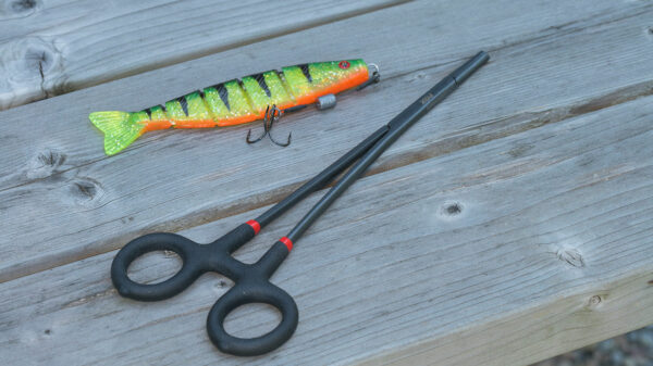 FORCEPS 2 FOX RAGE FORCEPS 25CM/10"