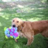 KONG Frizzles Razzle
