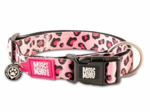 SG Saisonfotoshooting 2017 MAX AND MOLLY GOTCHA PINK LEOPARD LARGE COLLAR