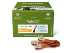 2025/05/1000050058.jpg WHIMZEES TOOTHBRUSH MEDIUM 30G