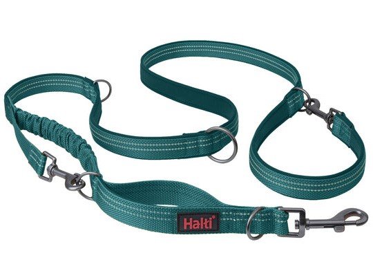 HALTI ANATOMY MULTI LEAD TEAL SMALL
