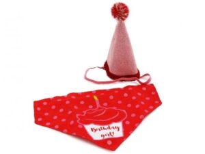 2025/05/1000050213.jpg PAWTY TIME BIRTHDAY HAT &BANDANA PINK