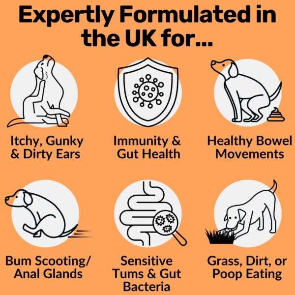 NUTRIPAW PRE PRO POST BIOTIC DOG TREATS