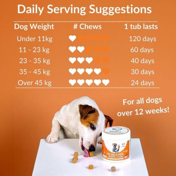 NUTRIPAW PRE PRO POST BIOTIC DOG TREATS