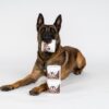 NUTRIPAW FLEA AND TICK DOG TREATS