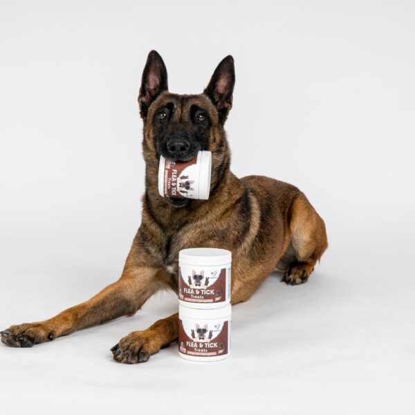 NUTRIPAW FLEA AND TICK DOG TREATS