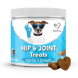 2025/06/1000051190.jpg NUTRIPAW HIP AND JOINT TREATS