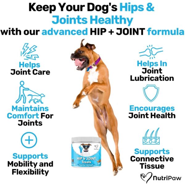 NUTRIPAW HIP AND JOINT TREATS