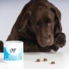 NUTRIPAW HIP AND JOINT TREATS