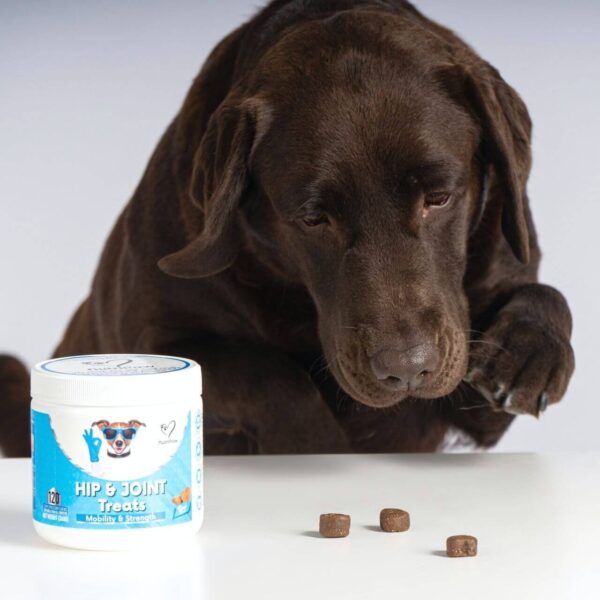 NUTRIPAW HIP AND JOINT TREATS