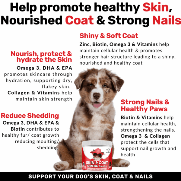 2025/06/1000051197.png NUTRIPAW SKIN AND COAT OMEGA DOG TREATS