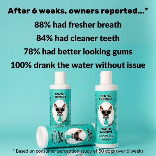 2025/06/1000051202.jpg NUTRIPAW DENTAL WATER ADDITIVE