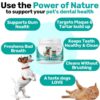 NUTRIPAW DENTAL POWDER
