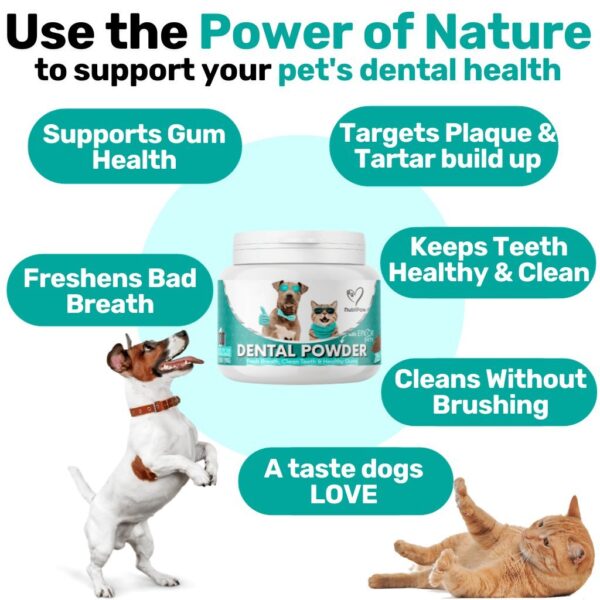 NUTRIPAW DENTAL POWDER