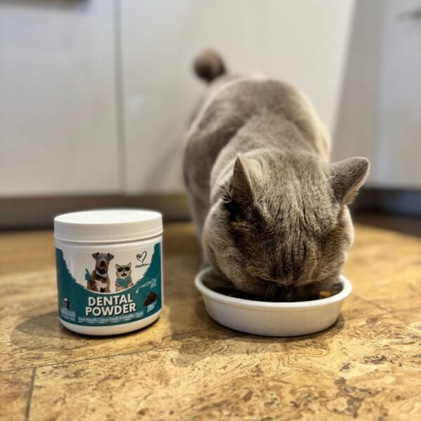 NUTRIPAW DENTAL POWDER