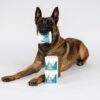 NUTRIPAW DENTAL POWDER