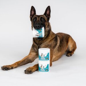 2025/06/1000051210.jpg NUTRIPAW DENTAL POWDER