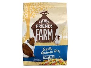 2025/06/1000051229.jpg TINY FRIENDS FARM GERTY GUINEA PIG