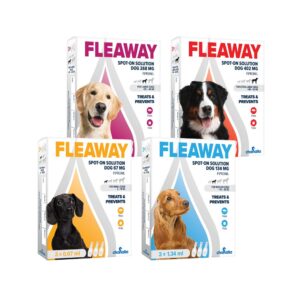 2025/06/1000059791.jpg FLEA AWAY