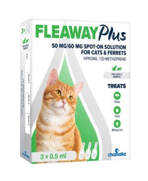 2025/06/1000059802.jpg cat flea