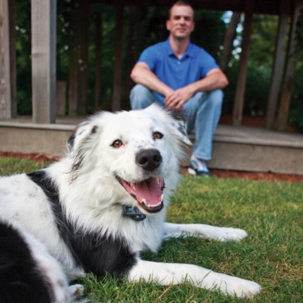 2025/06/1000060188.jpg PETSAFE WIRELESS FENCE
