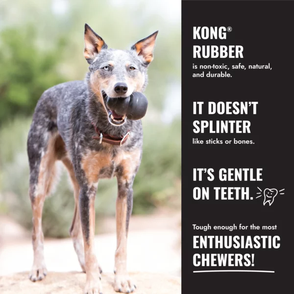 KONG Extreme