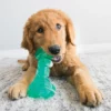 KONG SQUEEZE DENTAL STICK