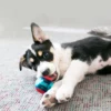 KONG Squeezz Action Ball