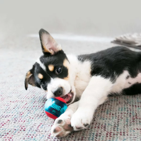 KONG Squeezz Action Ball
