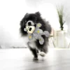 KONG Wild Knots Bear