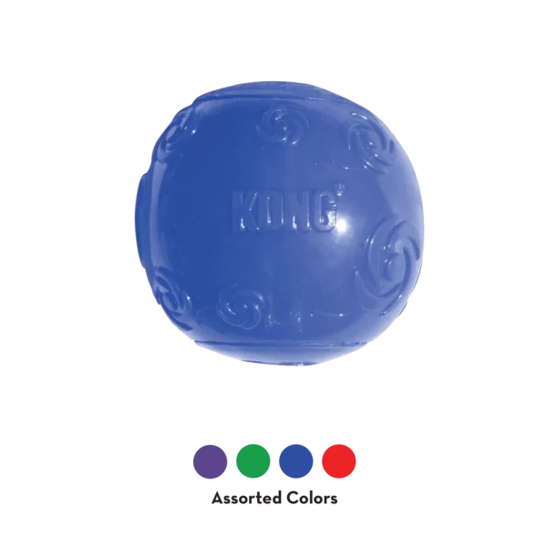 Kong Squeezz Ball