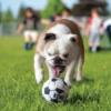 KONG SPORT BALL 3 PACK