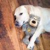 KONG Wild Knots Bear