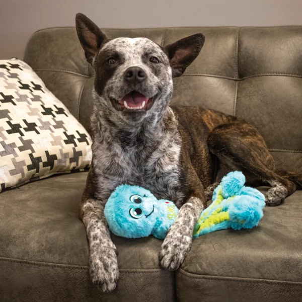 KONG WUBBA OCTOPUS