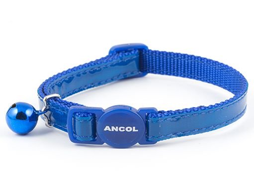 2025/07/1000062884.jpg GLOSS REFLECTIVE CAT COLLAR BLUE