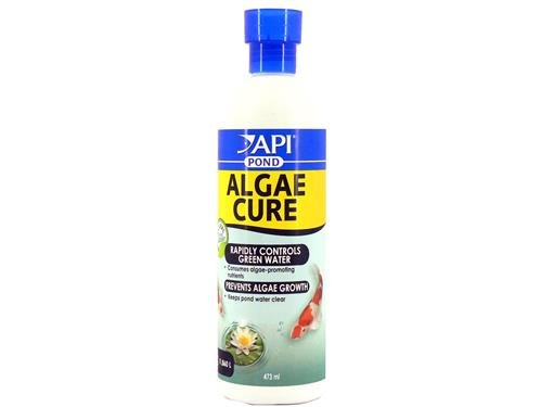 2025/07/1000062900.jpg API POND ALGAE CURE 473ML