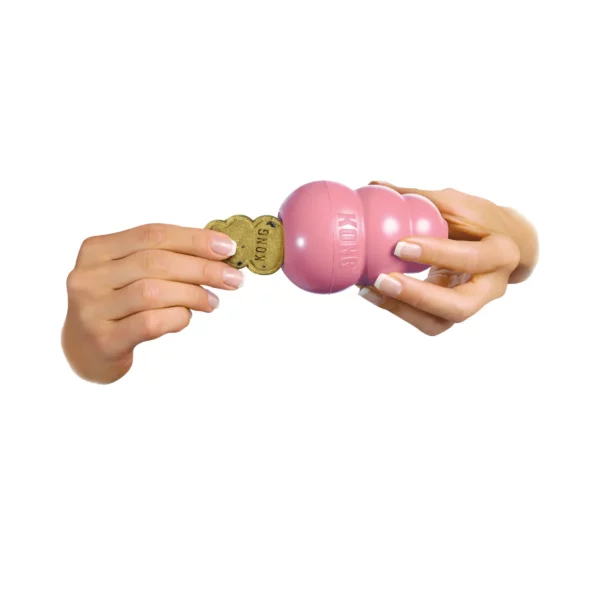 Snacks Puppy 4 KONG SNACKS PUPPY