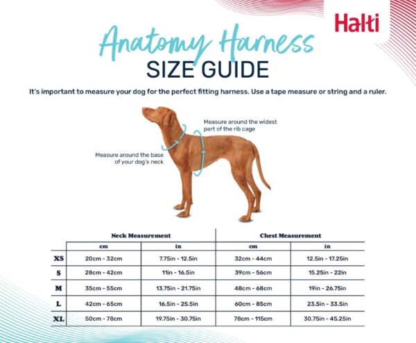 HALTI ANATOMY HARNESS GREY