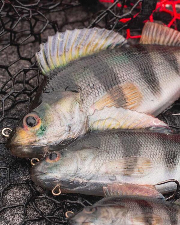 p1099639-copy_1 Fox Rage Ultra-Realistic Perch Replicant