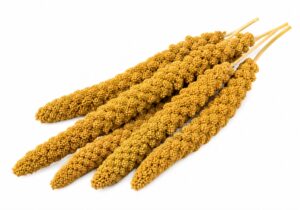 2026/06/1000085369-scaled.jpg MILLET SEED BULK