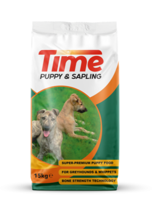 2026/08/1000097138.png TIME PUPPY AND SAPLING